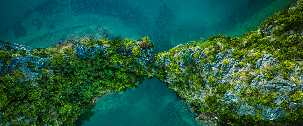 Happy Earth Day